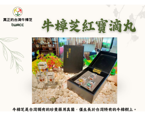 台灣牛樟芝TWAC 台灣牛樟芝TWAC
